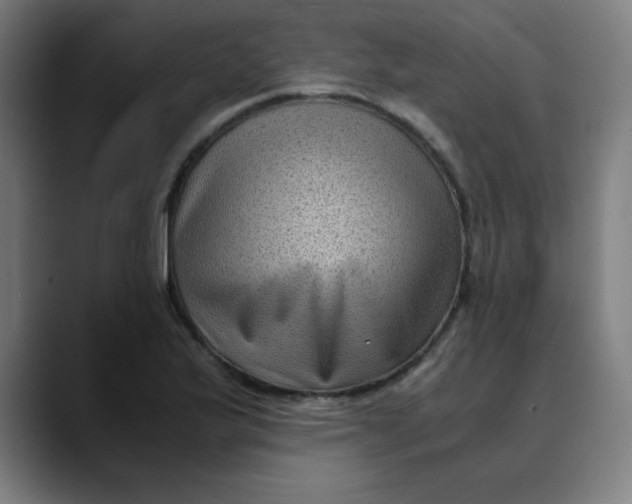 X0000089711175200707121407