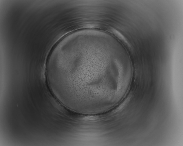 X0000089711178200707121407