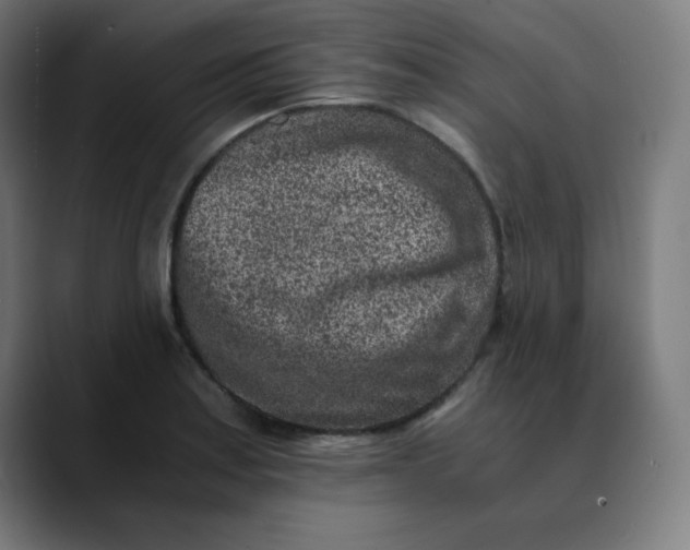 X0000089711179200707121407