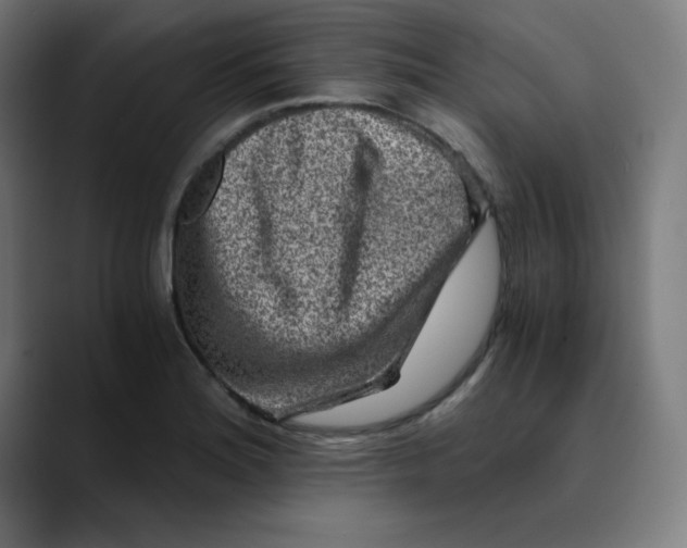 X0000089711180200707121407