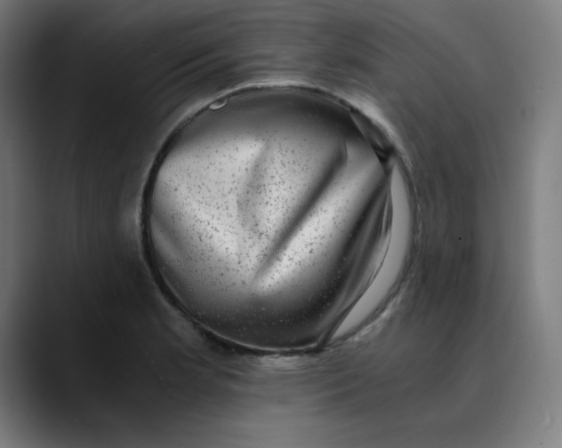 X0000089711181200707121407