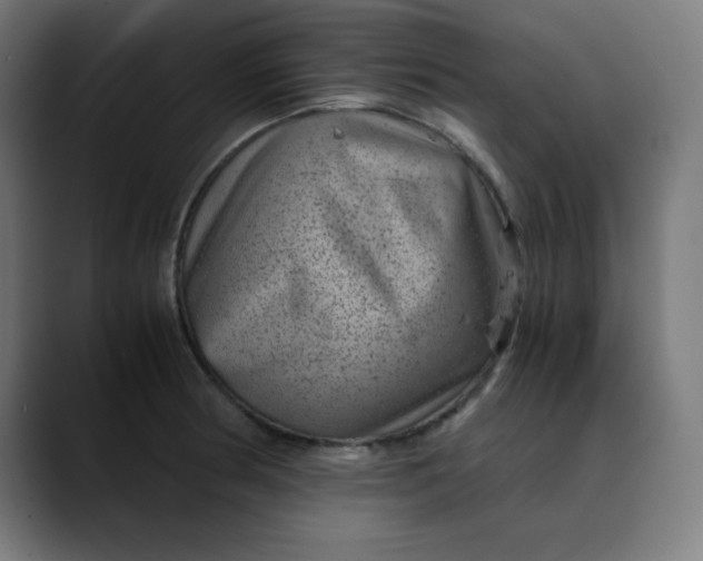 X0000089711186200707121407