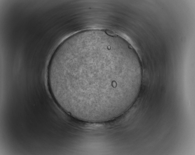 X0000089711187200707121407