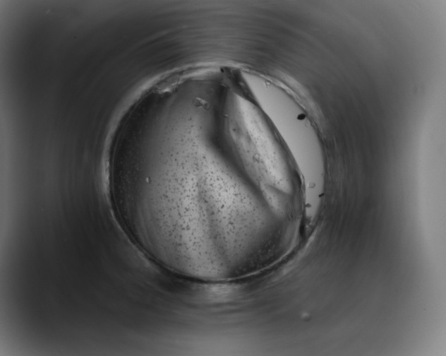 X0000089711188200707121407