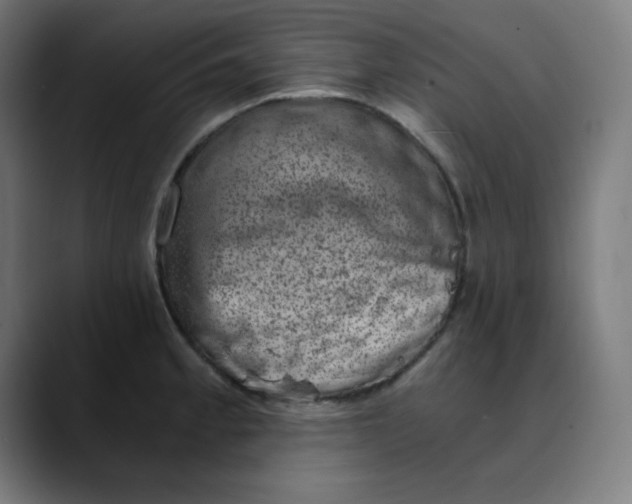 X0000089711189200707121407