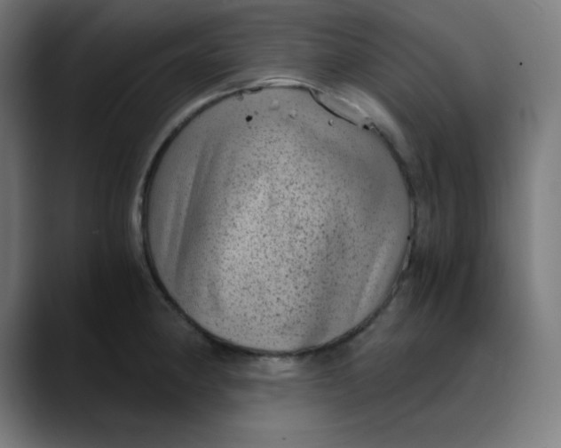 X0000089711190200707121407