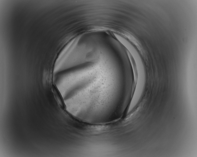 X0000089711193200707121407