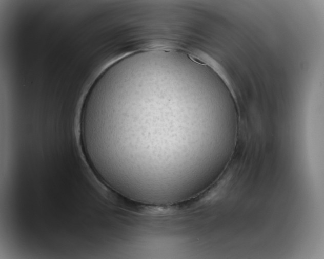 X0000089711195200707121407