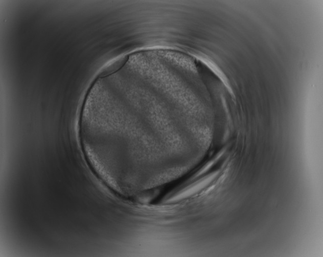 X0000089711197200707121407