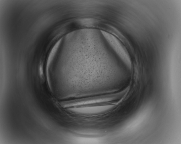 X0000089711198200707121407