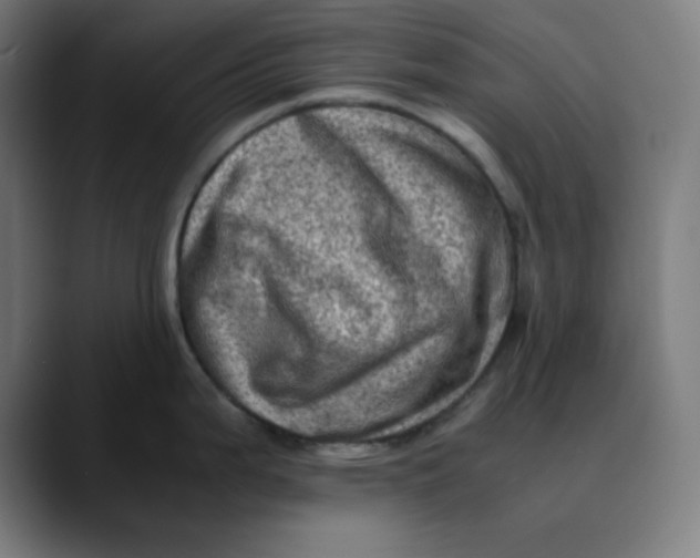 X0000089711199200707121407