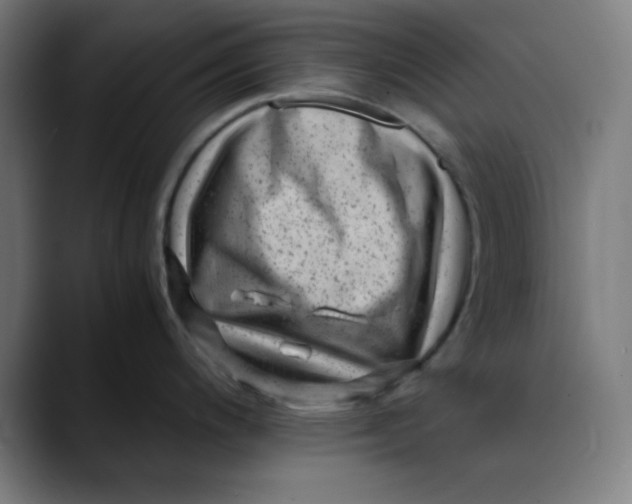 X0000089711200200707121407