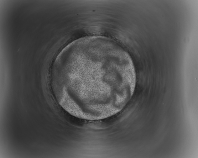 X0000089711201200707121406