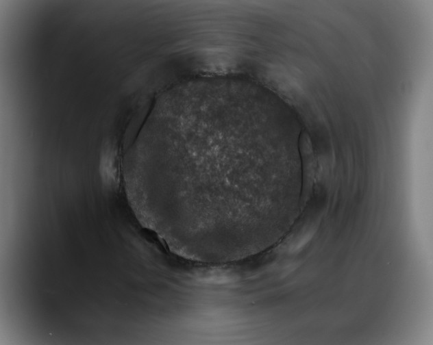 X0000089711202200707121406