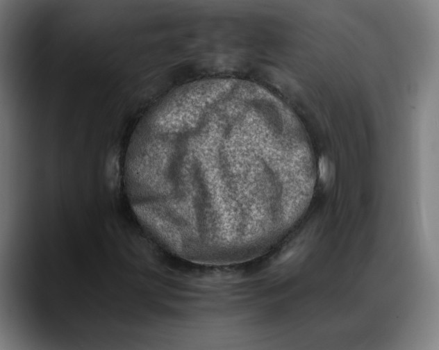 X0000089711203200707121406