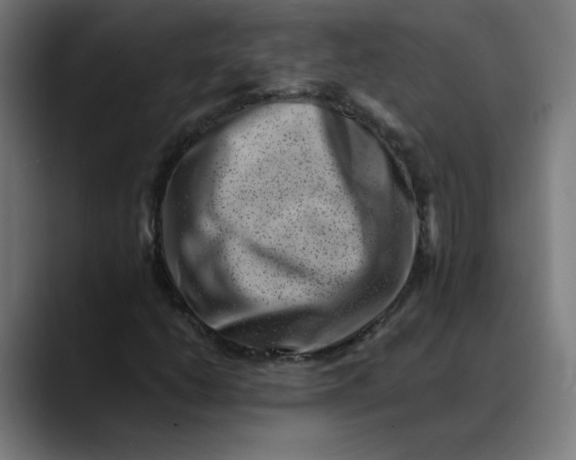 X0000089711206200707121406