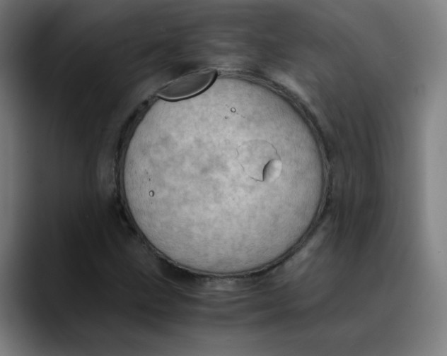 X0000089711211200707121406