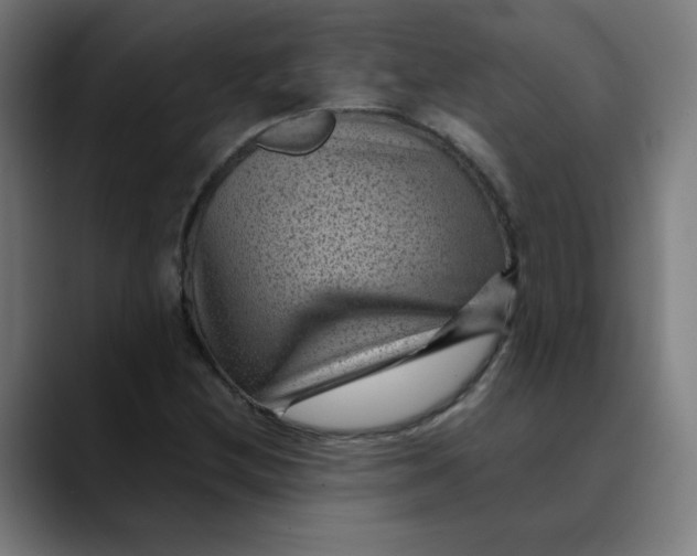 X0000089711212200707121406