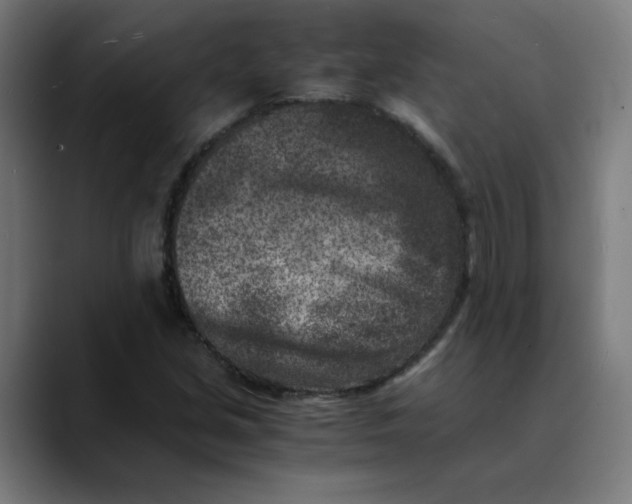 X0000089711213200707121406