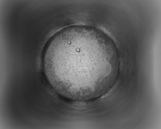 X0000089711215200707121406