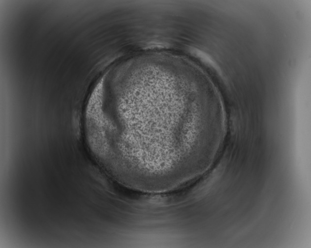 X0000089711217200707121406