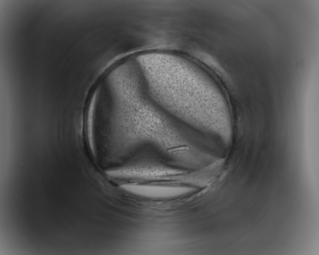 X0000089711220200707121406