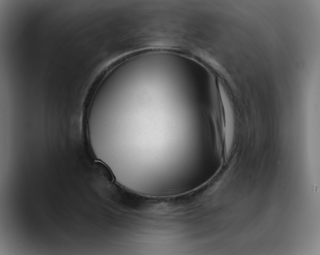 X0000089711222200707121407