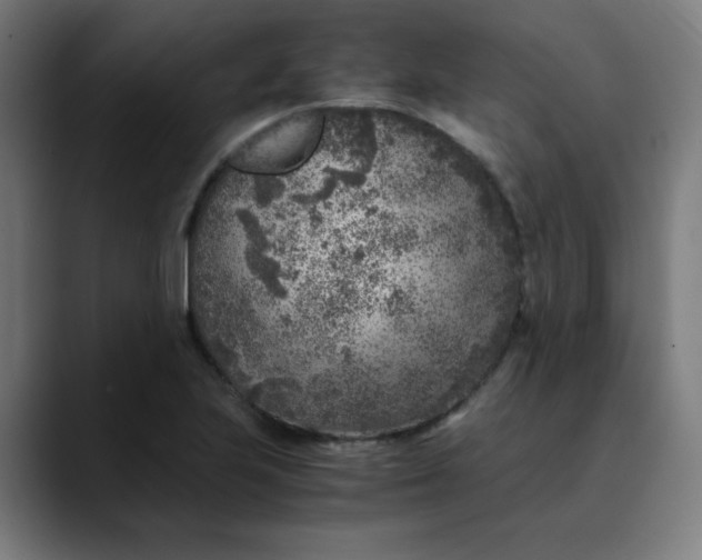 X0000089711223200707121407