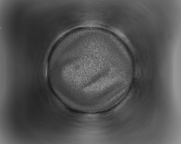 X0000089711224200707121407