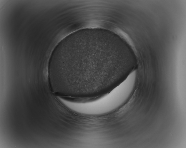 X0000089711226200707121407