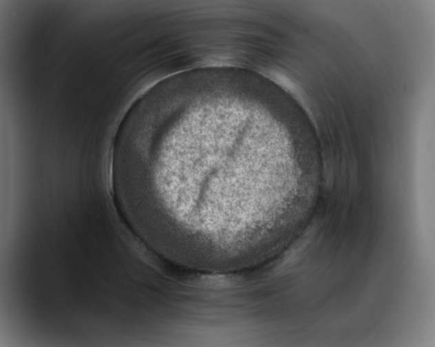 X0000089711227200707121407