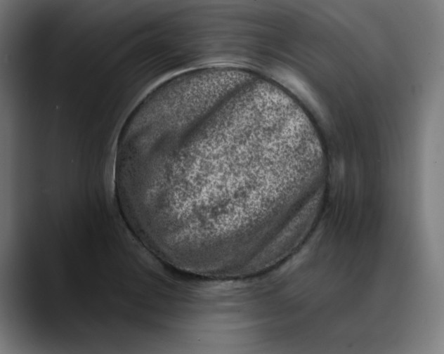 X0000089711228200707121407