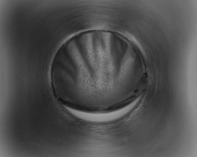 X0000089711230200707121407