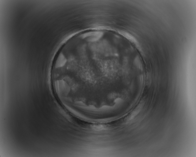 X0000089711231200707121407