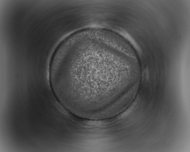 X0000089711232200707121407