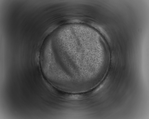 X0000089711233200707121407