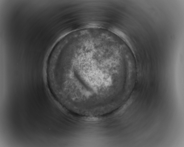 X0000089711235200707121407