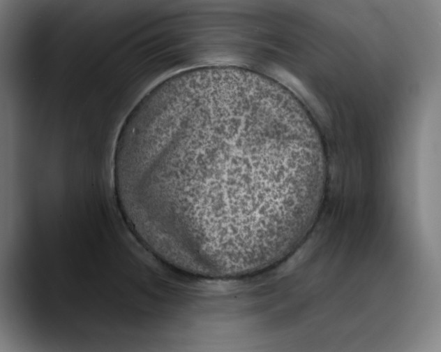 X0000089711236200707121407