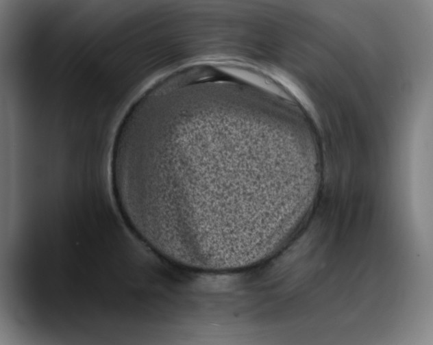 X0000089711237200707121407