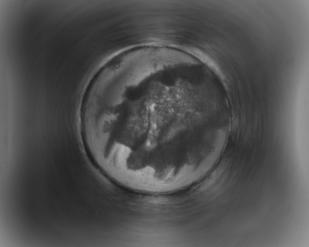 X0000089711239200707121407