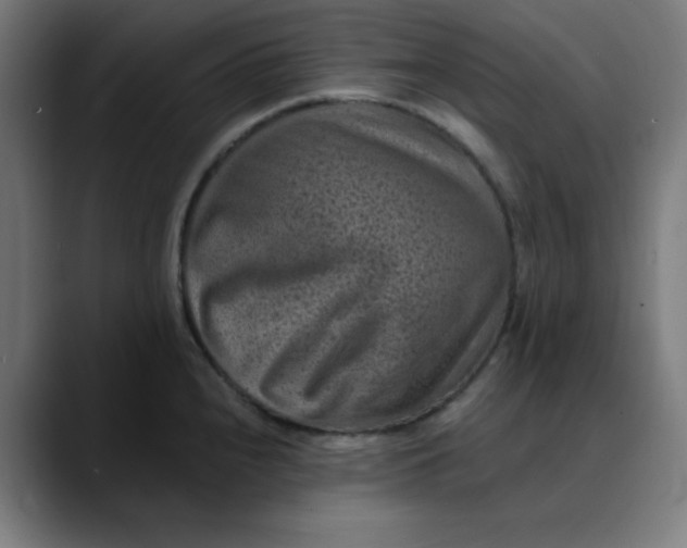 X0000089711240200707121407