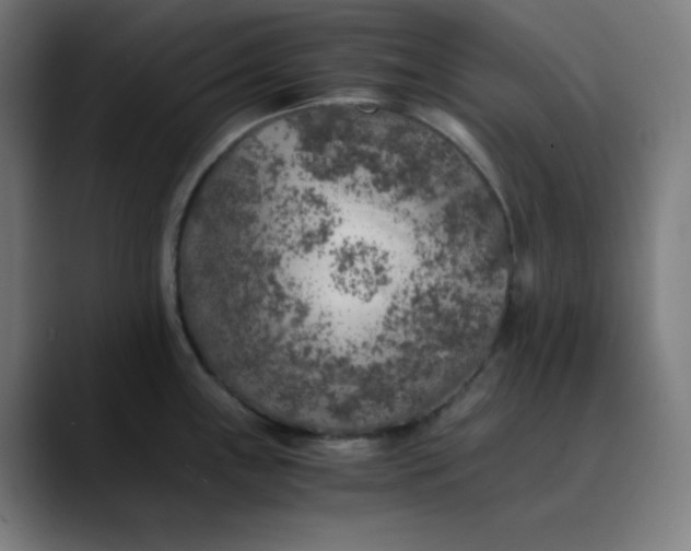 X0000089711243200707121407