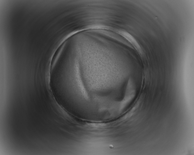 X0000089711244200707121407