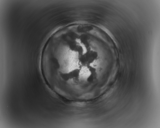 X0000089711245200707121407