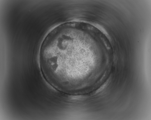 X0000089711247200707121407