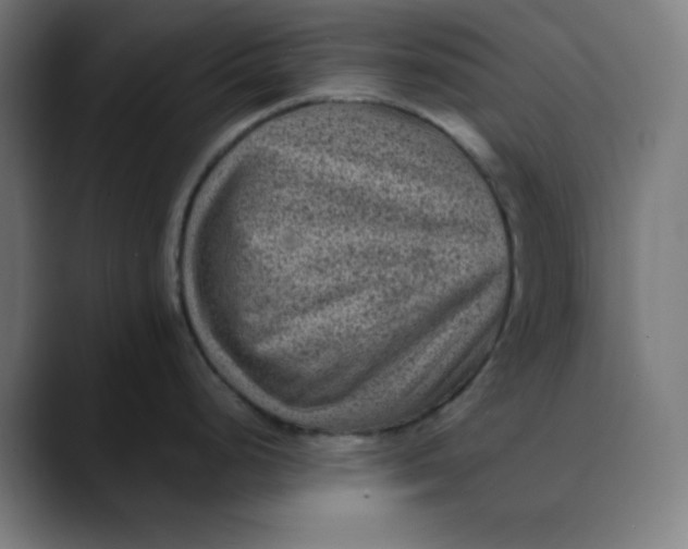 X0000089711248200707121407