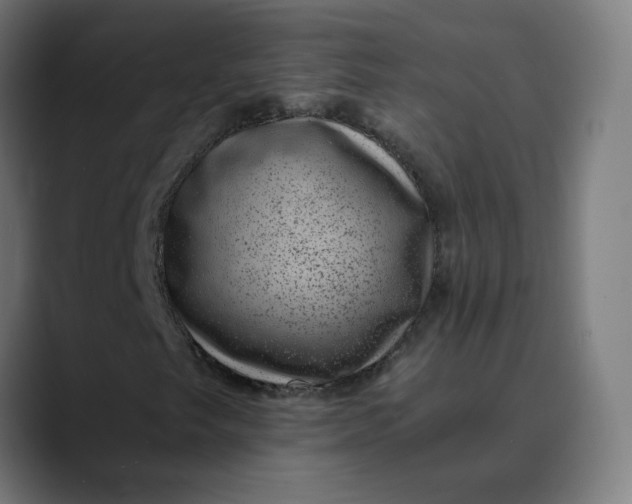 X0000089711249200707121406