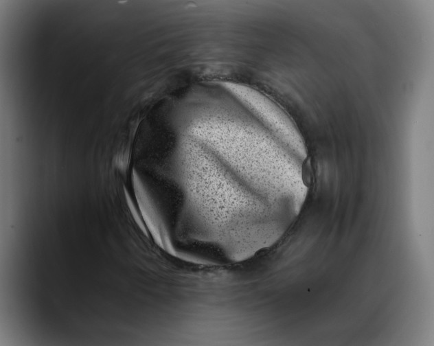 X0000089711250200707121406