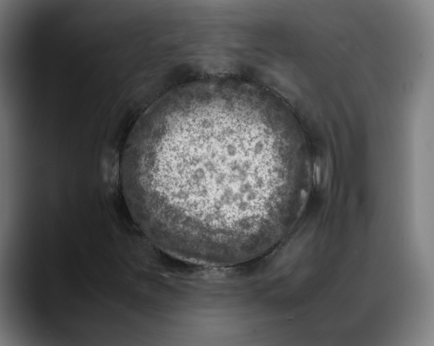 X0000089711251200707121406