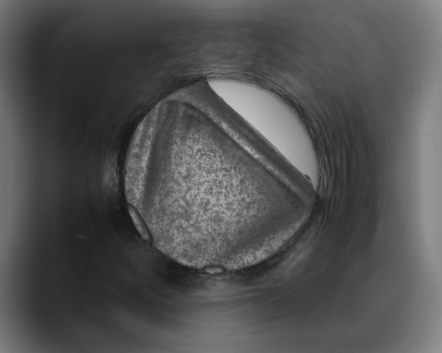 X0000089711252200707121406